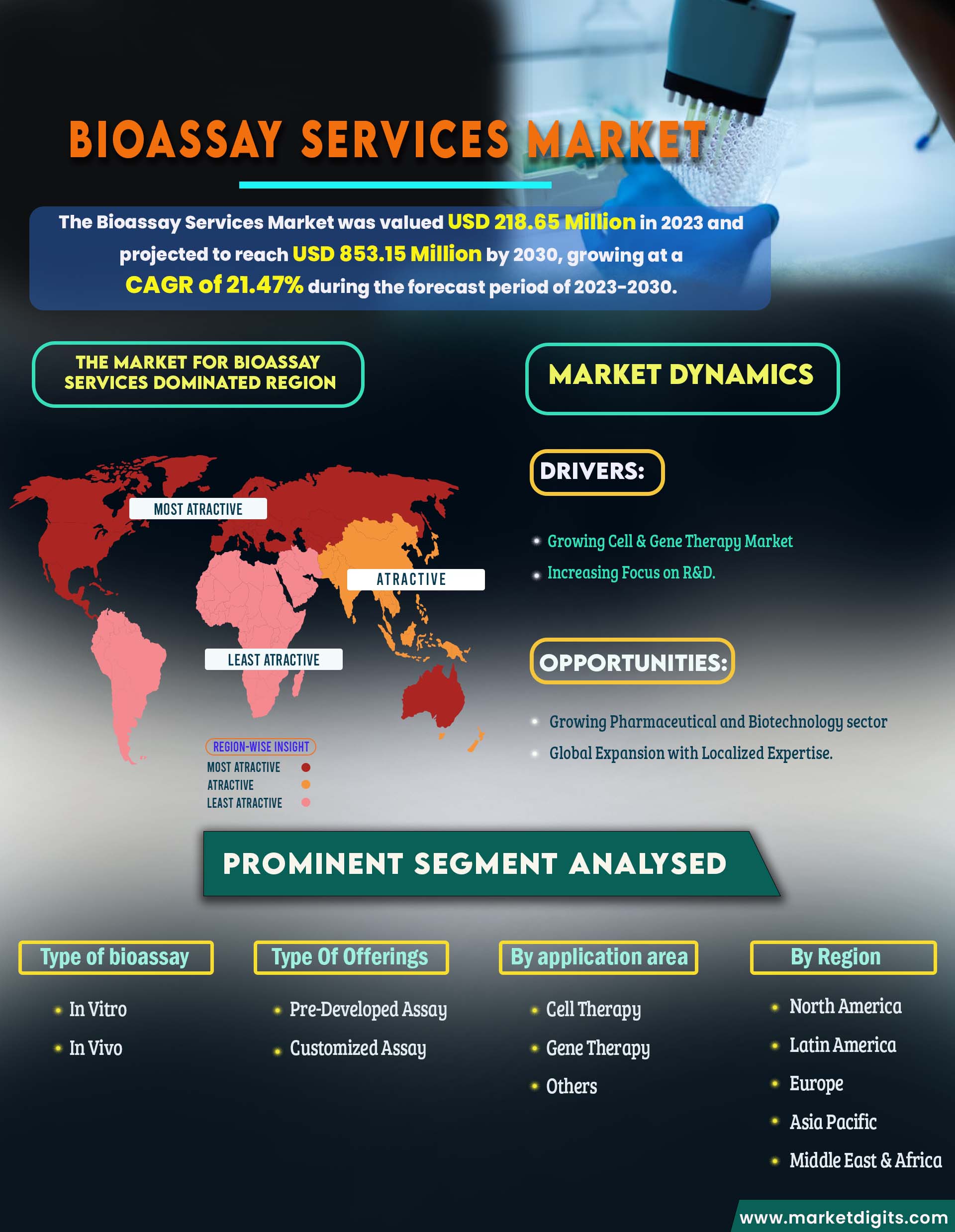 Bioassay Services Market