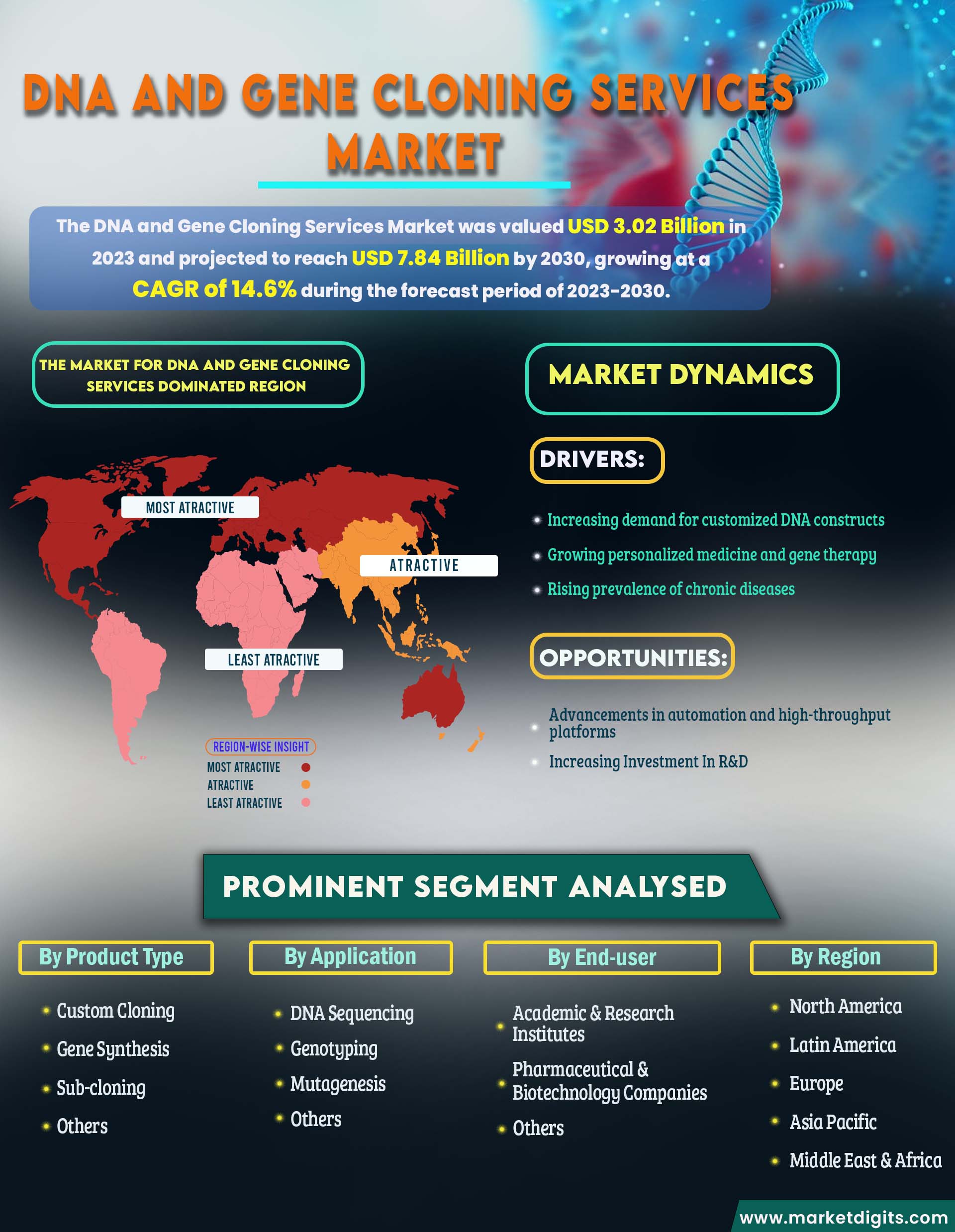 DNA and Gene Cloning Services Market